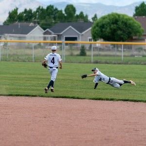 Meet your Posher, Hayden